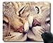 Produktbild Mauspad, Liebes-Katze-Mauspad, Mauspad für Computer cat231