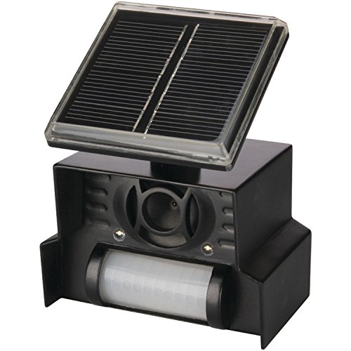 Preisvergleich Produktbild P3 International RA10985 P3 Sol-Mate Solar Animal Chaser, mehrfarbig