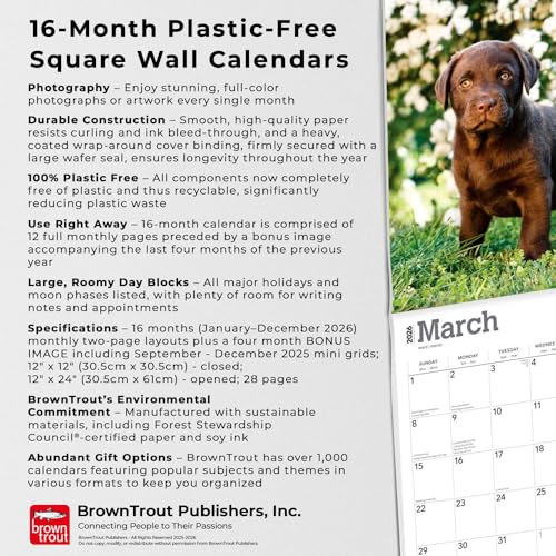 Chocolate Labrador Retriever Puppies | 2026 12 x 24 Inch (Hanging) Monthly Square Wall Calendar | Plastic-Free | BrownTrout | Animals Dog Breeds Puppy - image 6