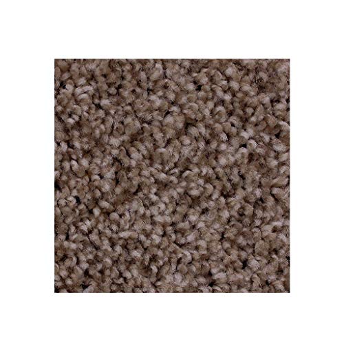 Top 10 Best Carpet Samples Free Swatches Reviews & Buying Guide Katynel