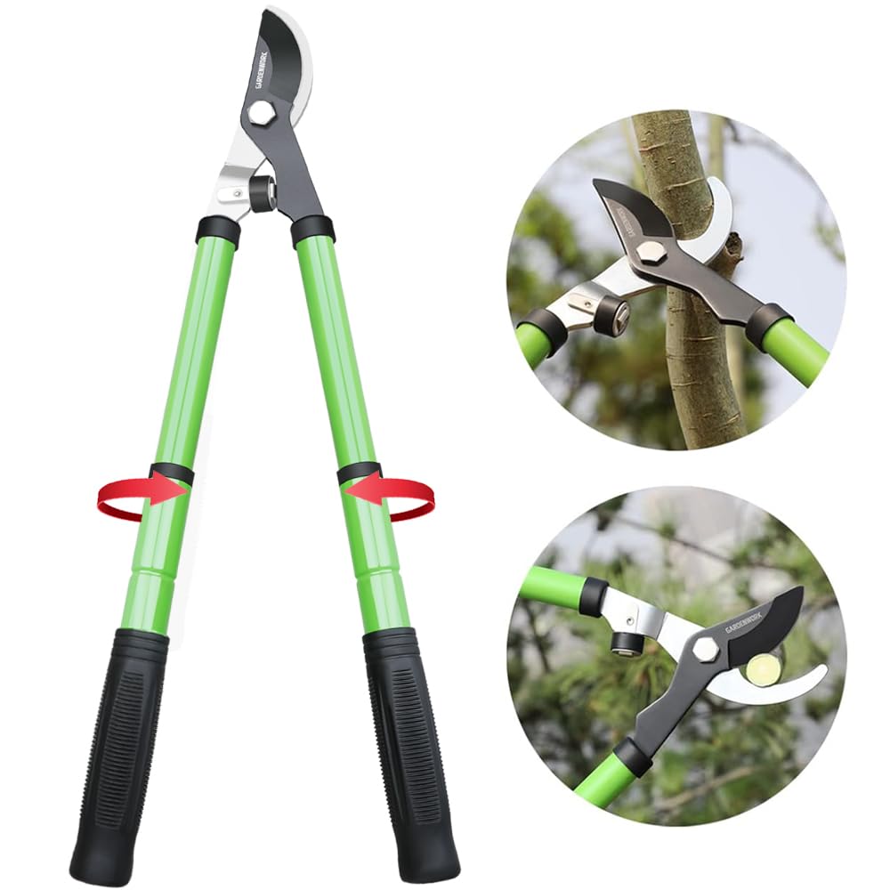 GARDENWORK Coupe-branches extensible avec action composée, 43,2 à 58,4 cm, lame tranchante SK5 pour couper des arbustes et des branches de 5,1 cm
