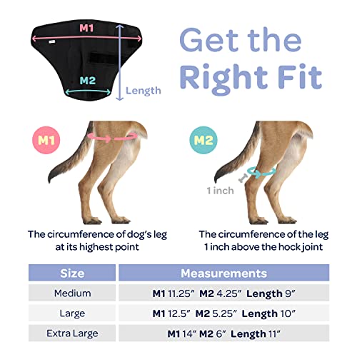 Image of Labra Dog Canine Knee Stifle Brace Wrap, Metal Splint Hinged Flexible Support Brace for K9 ACL, CCL, Luxating Patella, Cruciate Ligament Sprains in Back Hind Leg, Large - Right Knee, 75-100 lb Dogs