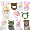 Weewooday 5 Pieces Cat Hat Cat Costume Bunny ...