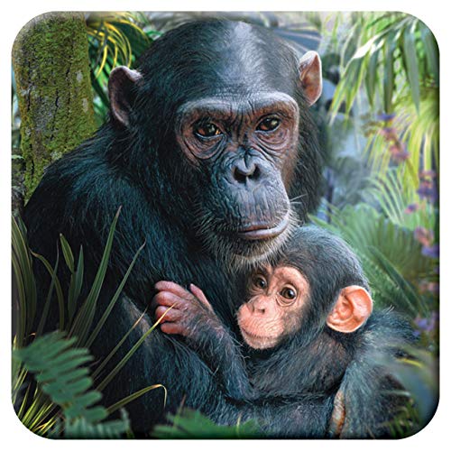 3D LiveLife Posavasos de Corcho - Abrazotes de Deluxebase. Posavasos de Corcho de chimpances Lenticular 3D, con Ilustraciones Originales con Licencia del reconocido Artista David Penfound