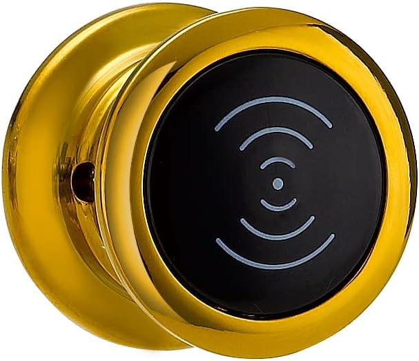 Smart Intelligent Electronic Locker Key Swimming Digital Locker Key Cabinet,RFID Gym Locker Key Holder Electronic Pack of 1 (Golden)