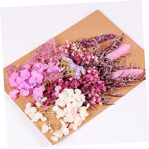 Paquete de material de flores secas para manualidades DIY miniatura 7