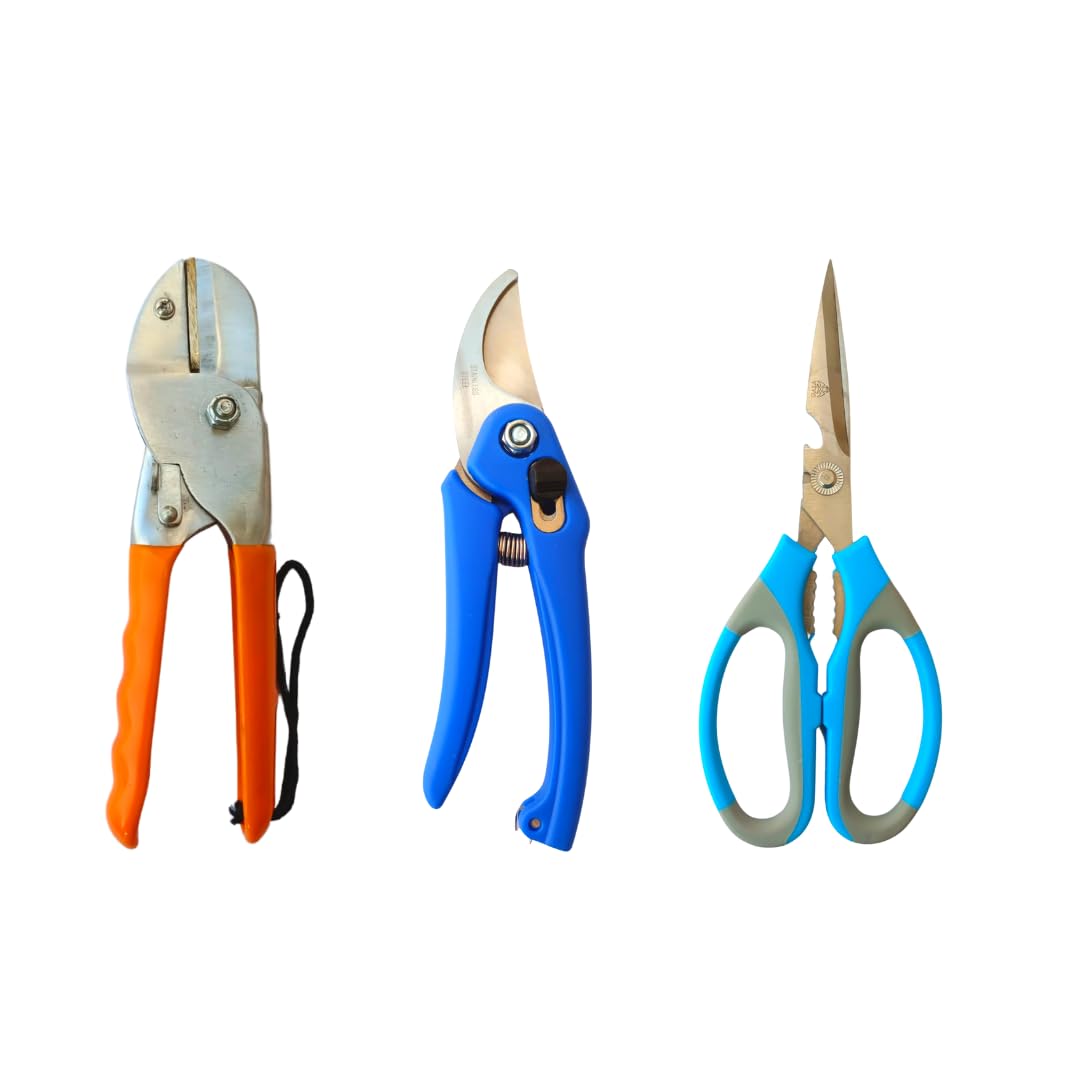 Farmgokart | Premium Garden Tool Kit -Set of 3 Pcs | Double Roll Cut secateurs | Plant Pruner Cutter| | 1 Pair of Gardening Scissor | (B09LSWBXD9) Amazon Price History, Amazon Price Tracker