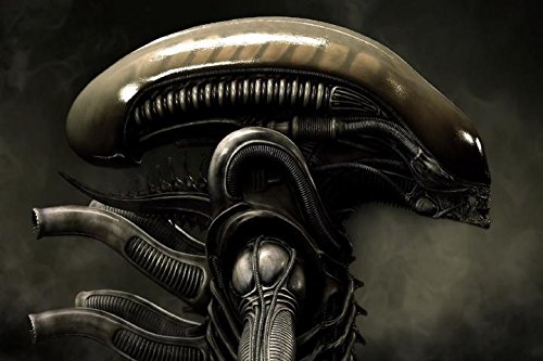エイリアン H・R・ギーガー シルク調アートキャンバス地 ファブリックポスター 約60×90cm Alien H R Giger silky fabric art canvas poster 4 [並行輸入品]