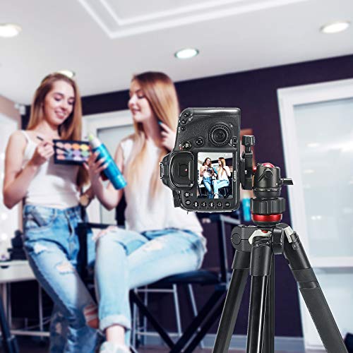 image for SmallRig Mini Ball Head, Tripod Head Camera 360° Panoramic with 1/4