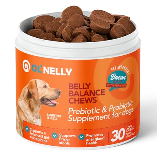 Ol'Nelly Pre & Probiotics for Dogs- 30 Soft Chews (Bacon)
