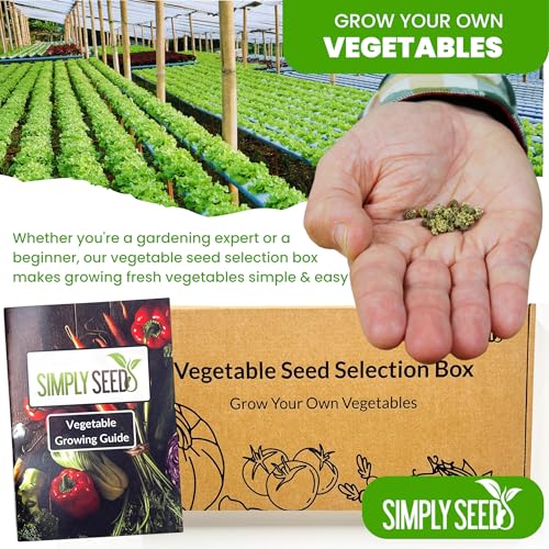 Vegetable Seed Selection Box - 20 Premium Seed Varieties with High Germination Rate. Natural, Sustainable & GMO Free. Instruction Booklet Included, Perfect for Beginners or Experts. Packed in The UK - 3