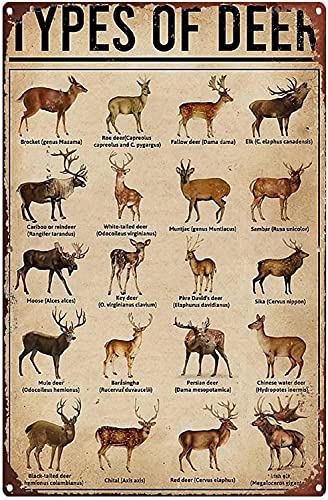 Image of FEBIOAW Vintage Metal Sign Wall Decal Types Of Deer Knowledge Tin Sign, Wall Art Retro Tin Sign Metal Poster for Home Bar Cafe Garage Personalized Metal Sign 12x18 inch