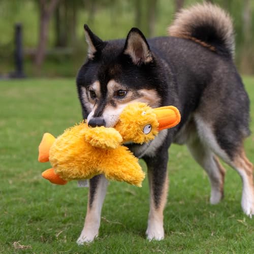 Image of Best Pet Supplies Interactive Squeaky Dog Chew Toy, Ideal Dog Toys for Chewers, Small, Medium & Large Dogs, and Fetch Lovers - Ducky Doodle (Yellow), Small