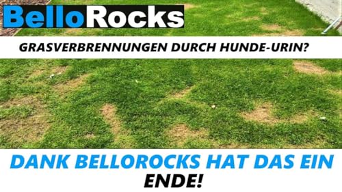BelloRocks Natur-Steine Mineralsteine gegen Urinflecken auf Rasen, Hunde Katzen Dog Steine Urin Grasverbrennungen Rocks [200 Gramm]