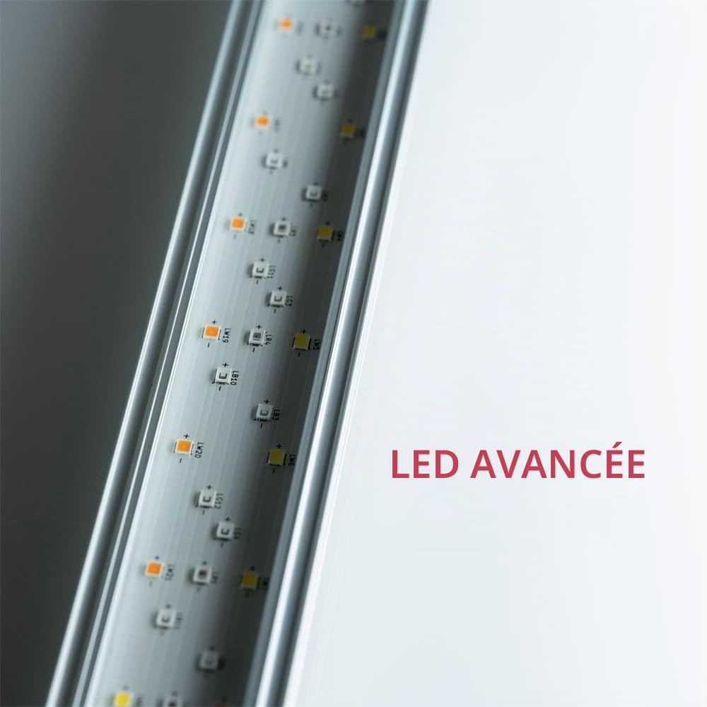 TWINSTAR Light 100G - Éclairage pour aquariums d'eau douce pour poissons et plantes | Spectre complet RGBW | Avec commande incluse | Réglable | Étanche (32W | 78.9-110 cm)