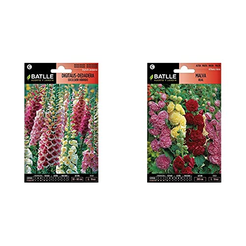 SEMILLAS BATLLE Digitalis-Dedadera Excelsior hibrido + Malva Real VARIADA