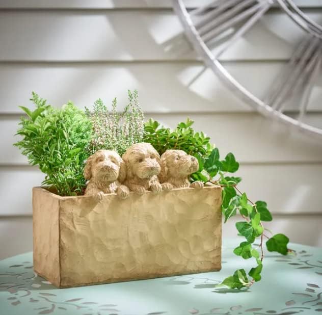 Bloomingtons Direct 3 Cockapoo Planter Trough Resin Attached Puppy