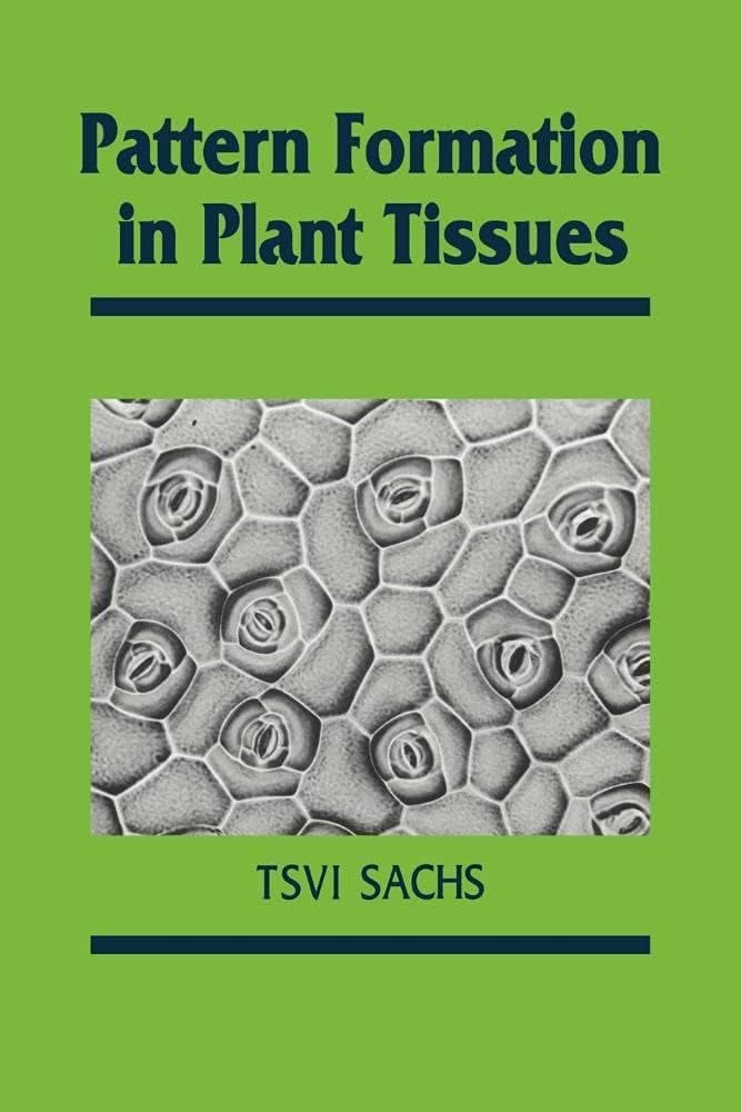 Buy Pattern Formation in Plant Tissues (Developmental and Cell Biology Series) — BookShops.in