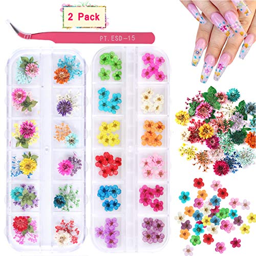 2 Boxes Dried Flowers for Nail Art, KISSBUTY 24 Colors Dry Flowers Mini Real Natural Flowers Nail Art Supplies 3D Applique Nail Decoration Sticker for Tips Manicure Decor (Gypsophila Flowers Daffodil)