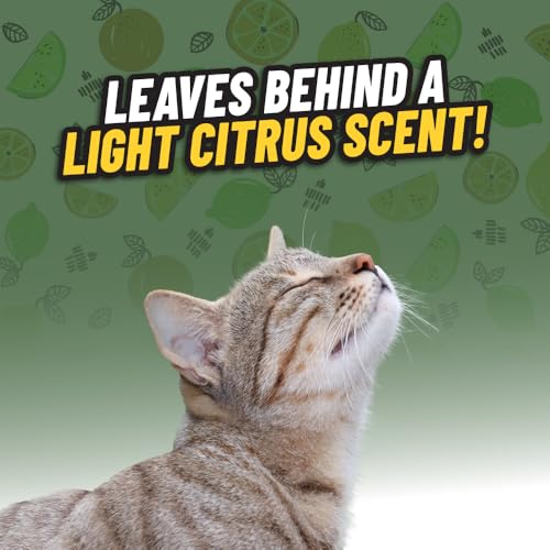 Chemical Guys Ghosted Pet Odor Eliminator 32 Oz Pet Smell Neutralizer For Car Interior, Carpet, Upholstery, Fabric Seats, Home, Furniture, Citrus Scent Spray Cleaner - image 4