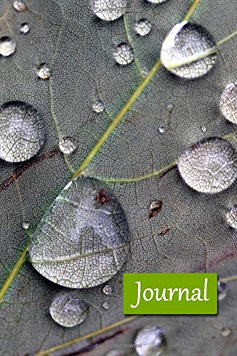 Journal: Raindrops on a Leaf: Nature Journal with Blank Lined Pages for Writing or Creativity