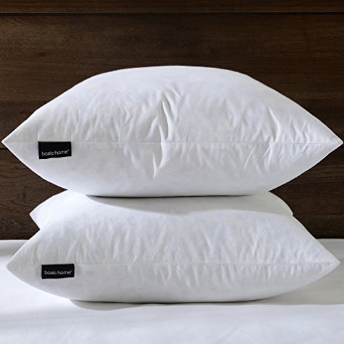 pillow forms 22x22