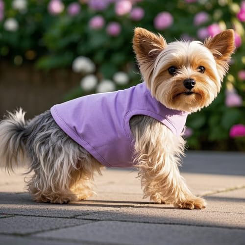Winmany Sommer-Tanktop für kleine Hunde, für Mädchen und Jungen, Chihuahua, Shih Tzu, Zwergspitz-Shirts, Weste (Rosa + Lila, Größe XS), 2 Stück