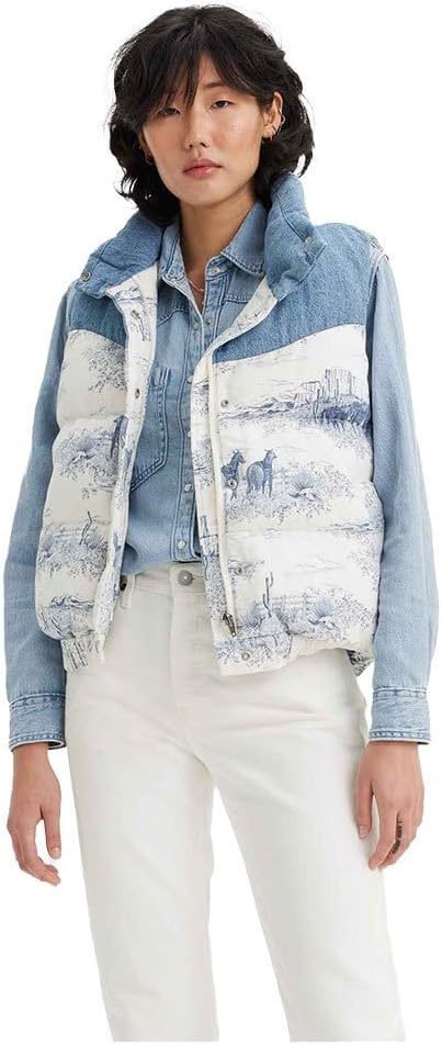 WESTERN TOILE VINTAG