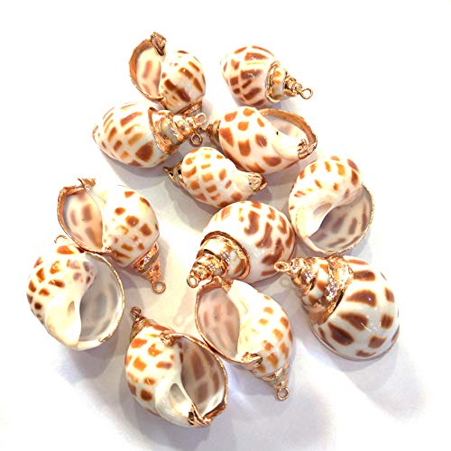 15pcs Natural Shell Pendants ,Spiral Shell Pendants Conch Shell Beach Cowrie Sea Shells Charms Jewelry Charms Ocean Beach Dangle Beads for Nautical Ocean Summer Jewelry Craft Making Home Decor