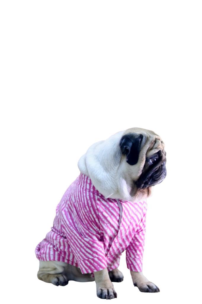 Dog Kurta for Festive Season Comfort Dog Friendly Material (L, Pink) (B0CLLZFJXQ) Amazon Price History, Amazon Price Tracker
