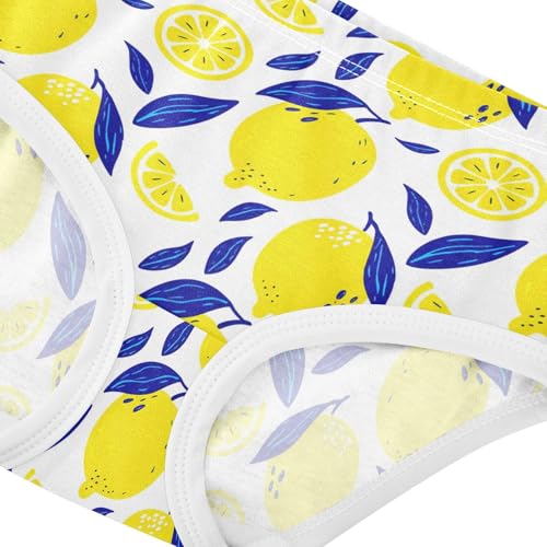Summer Fruit Lemon Toddler Girls's Underwear 2T 23029174