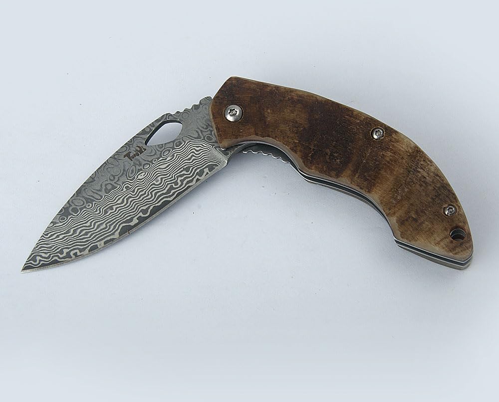 Couteau Tungyi en acier damassé, lame tranchante 5,9 cm, petit couteau adapté à toutes occasions, anniversaires, mariages, cadeaux (3,6" Ram Horn Handle)