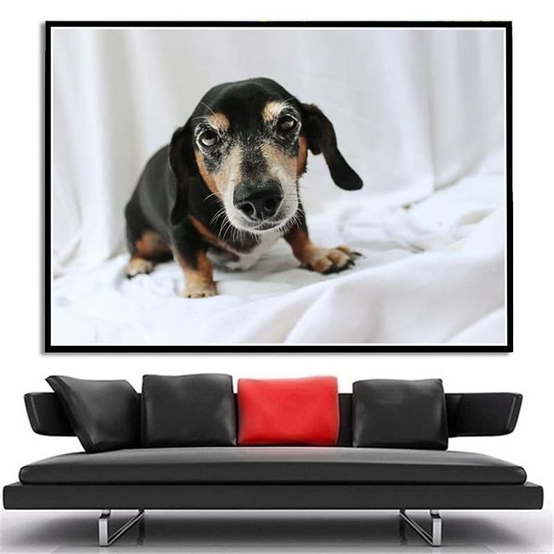 Amazon | ダックスフントかわいいペットの犬動物﹣フルラウンドドリル