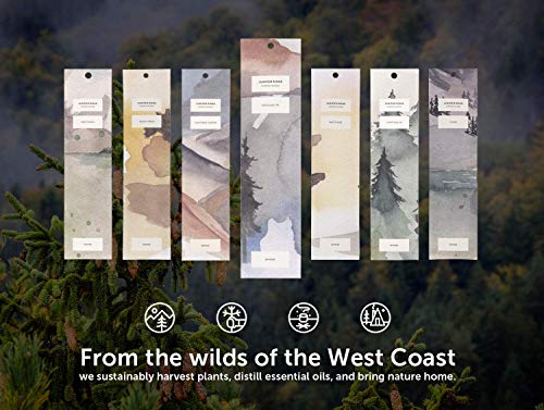 Juniper Ridge All Natural Aromatic Campfire Incense Bundle - Douglas Fir And Cedar #TOP4