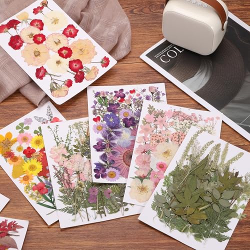 48 Piezas Flores Secas Prensadas Para Manualidades DIY miniatura 4