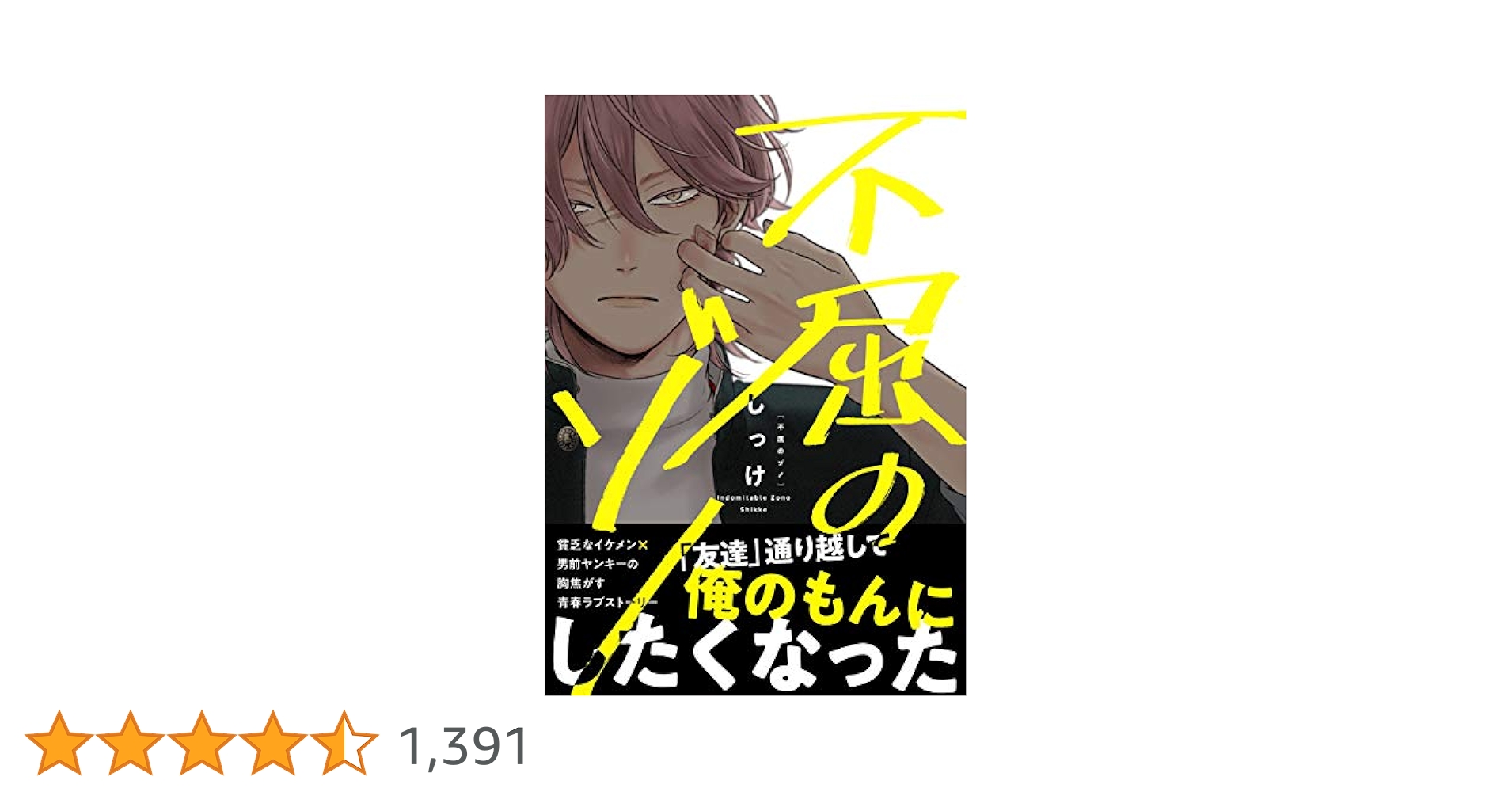 Amazon.co.jp: 不屈のゾノ (B's-LOVEY COMICS) : しっけ