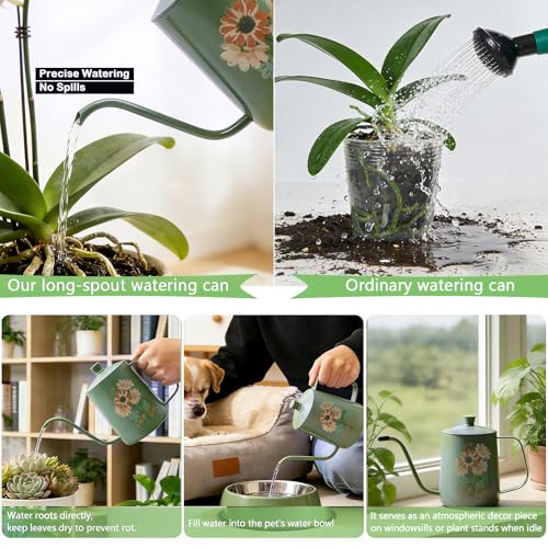 Lot de 2 vaporisateurs d'arrosage