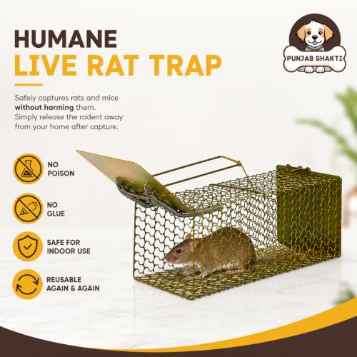 Image of Heavy Duty Rat Catcher Trap - Humane & Reusable Mouse Trap for Home, Office & Warehouse - Easy to Set, Strong & Reliable Rodent Control