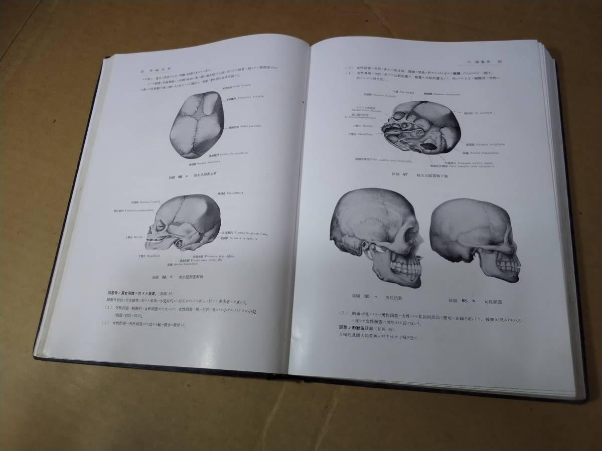 Amazon.co.jp: 戦前/医学書/近世解剖学/昭和9年/資料/古書/古本