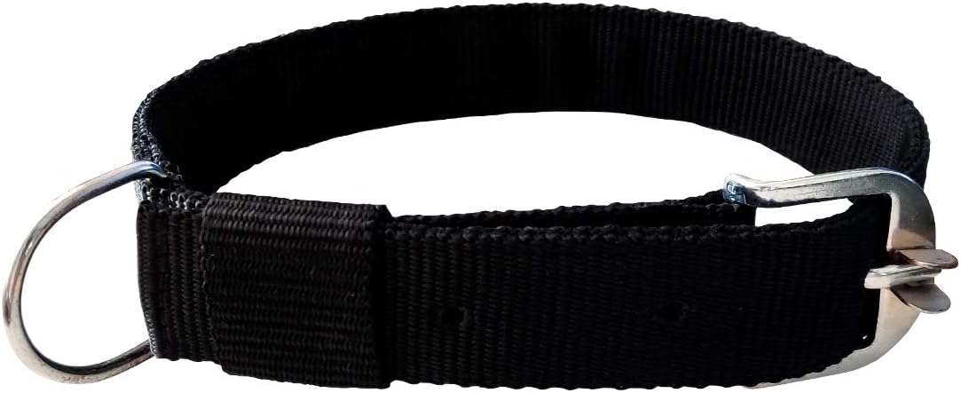 Pawzone 1 Inch Black Dog Collar"