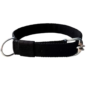 black dog collar