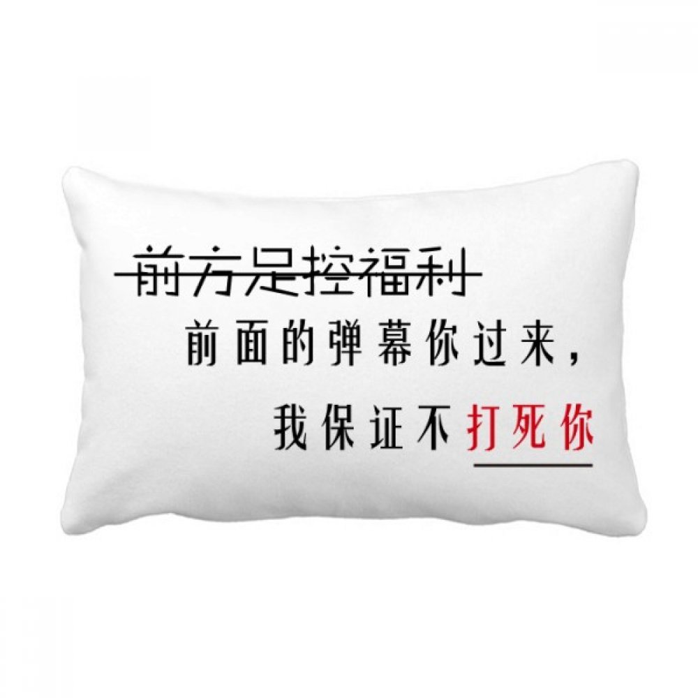 Coussin throw pillow imprimé mots chinois, une idée cadeau originale