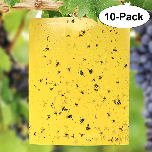 Negarly 10-Pack Dual-Sided Yellow Sticky Traps for Flying Plant Insect Like Fungus Gnats