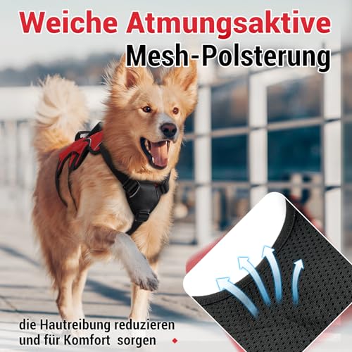 rabbitgoo Ausbruchsicheres Hundegeschirr Mittelgroße Hunde mit Griff, Anti Zug Sicherheitsgeschirr Hund Atmungsaktiv, Verstellbare Brustgeschirr, Gepolstertem Hundeweste, Panikgeschirr, Rot S