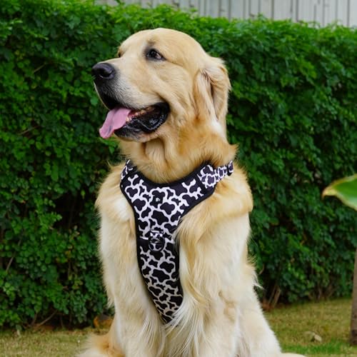 Image of Moo-ve Over No-Pull Dog Harness, S (7-14kg, 19-24 inch)