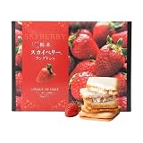 栃木スカイベリーラングドシャ 18個入