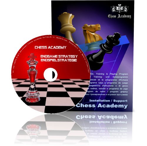 Preisvergleich Produktbild Chess Academy Moderne Endspielstrategie (Deutsche Version)
