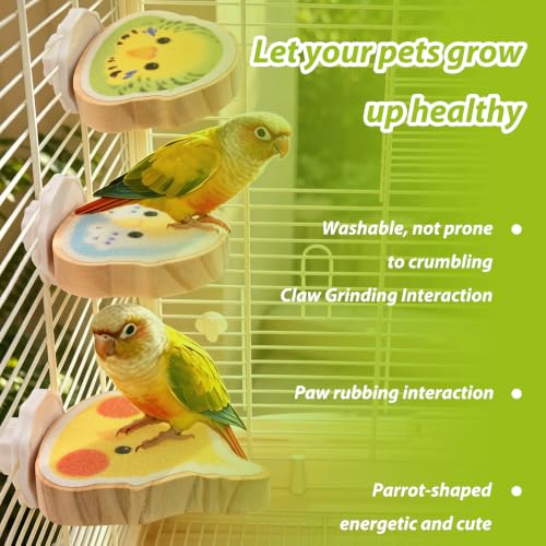 3 Pack Bird Perch Platform - image 7