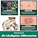 Silberkraft Grasmilben-Ex Spray für Hunde & Katzen 500 ml, effektiver Schutz gegen Gras-Milben, Parasiten & Ungeziefer, verhindert Juckreiz, für Fell, Liegeplätze & Umgebung