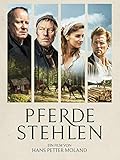 pferdebremsenfalle selber bauen  Pferde stehlen
